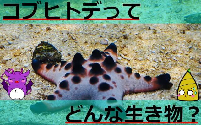 Thumbnail of post image 160